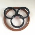 NBR/Silicone/FKM/Viton TC/SC/DC Rubber Oil Seal Shock Absorber Oil Seal